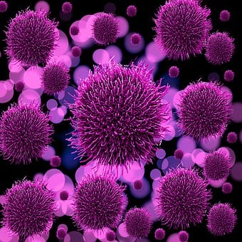 Bacterial-And-Viral-Treatment--in-Clermont-Georgia-bacterial-and-viral-treatment-clermont-georgia.jpg-image