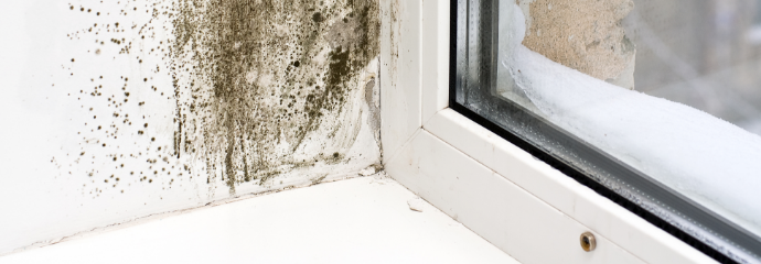 Mold-Remediation--in-Tucker-Georgia-mold-remediation-tucker-georgia.jpg-image