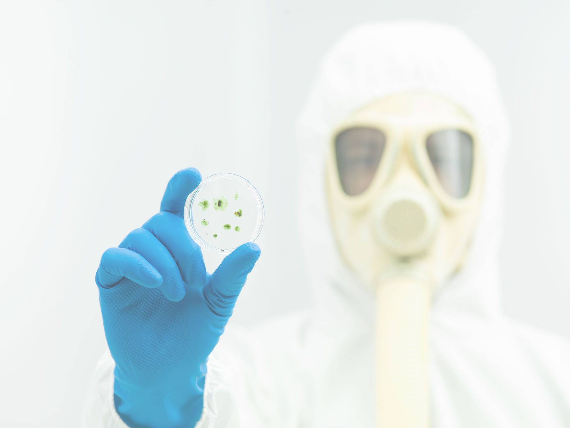 Mold-Testing--in-Gillsville-Georgia-mold-testing-gillsville-georgia.jpg-image