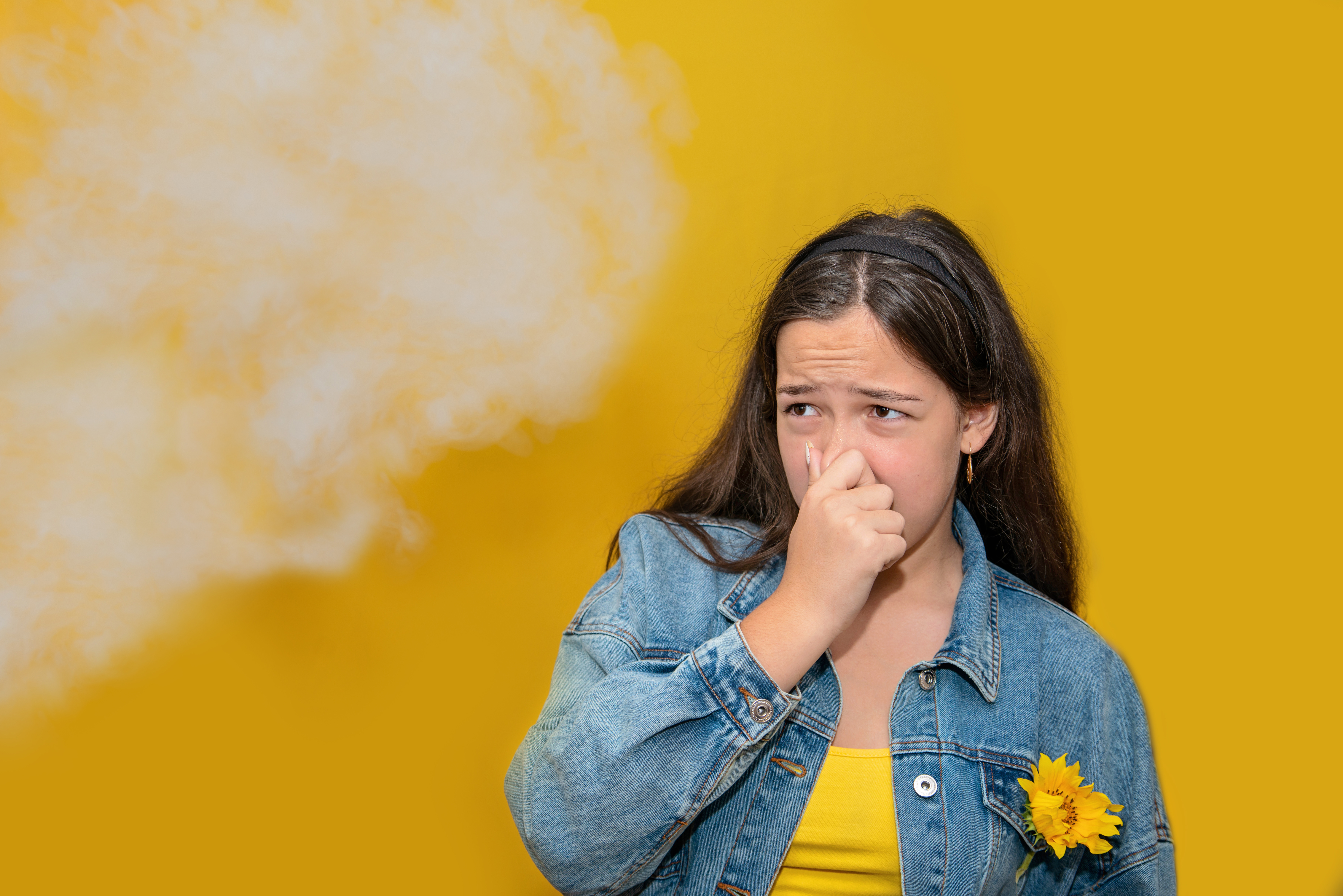 Odor-Removal--in-Chestnut-Mountain-Georgia-odor-removal-chestnut-mountain-georgia.jpg-image